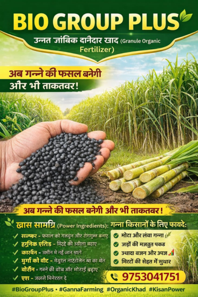 Organic Fertilizer 2